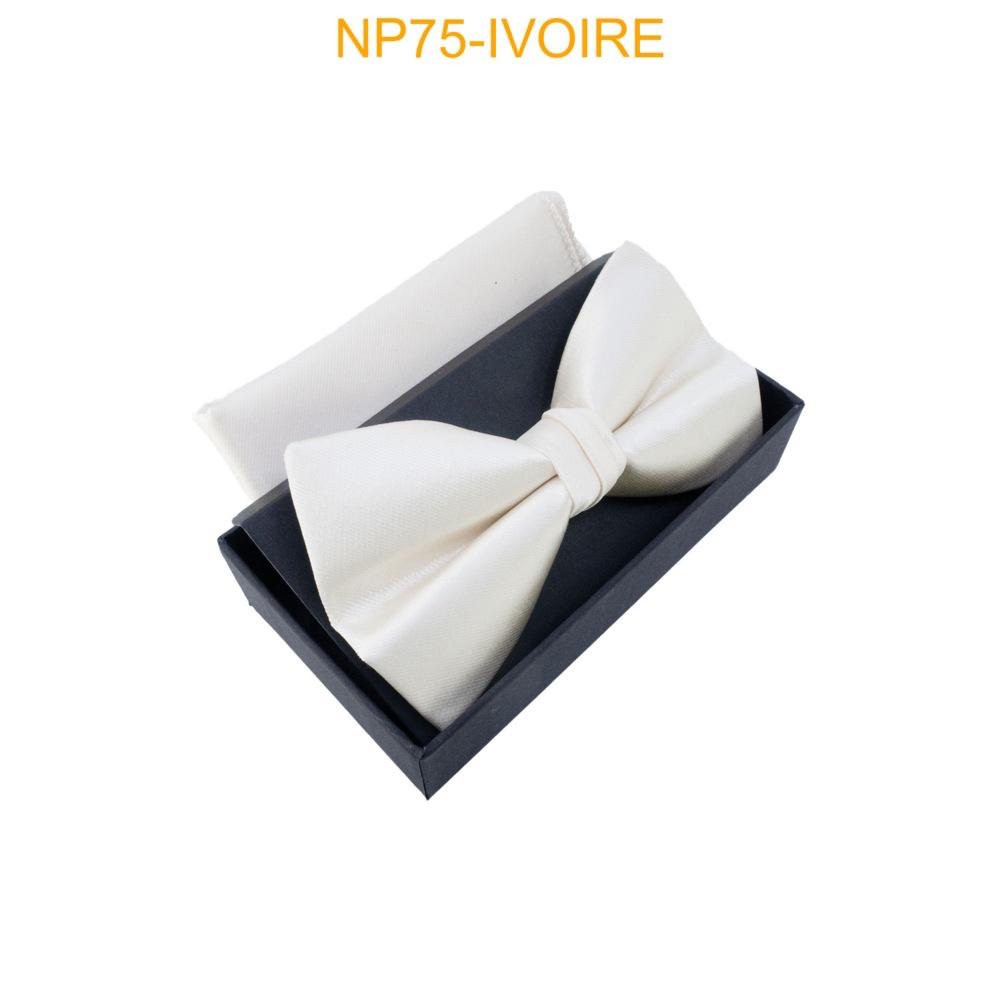 Noeud papillon Champagne